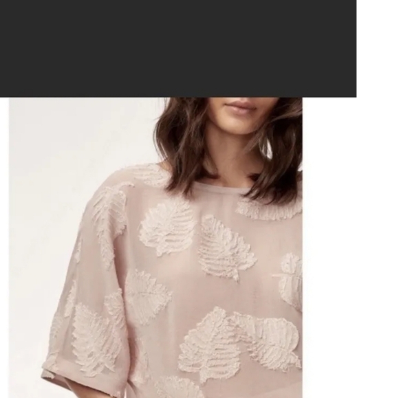 Aritzia Wilfred Blayze Crop Leaf Oak Chene - Picture 5 of 12